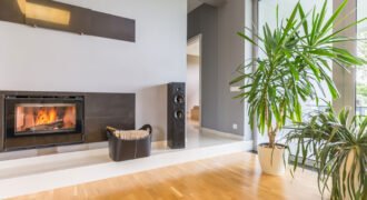 Apartment for rent in Downtown