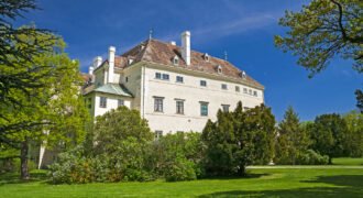 Historic Villa For Sale