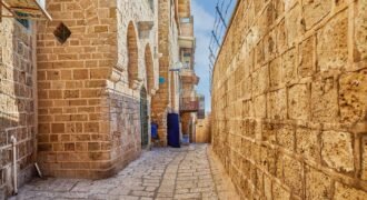 Executive house with garden